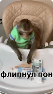 🌟 ef8e1311 Флипнул пон singe, argent, chaise, animal, mignon whatsapp sticker