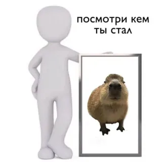 🥰 0187c8eb посмотри кем ты стал Capybara, Meme, Tier, Lustig, Russisch telegram sticker