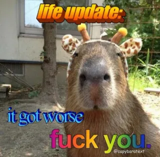🖕 396bf2d8 life update: 
it got worse
fuck you. Capybara, Meme, Tier, Lustig, Giraffe telegram sticker