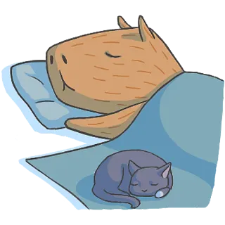 😴 9c3e141b capybara, cat, sleeping, animal, cute, cartoon whatsapp sticker