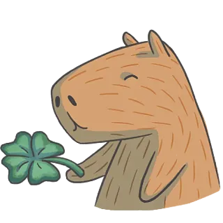 Capybara&Co telegram stickers