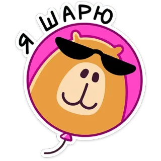 😎 f4f3d4a5 Я ШАРЮ chuột lang nước, động vật, kính râm, nhãn dán, phim hoạt hình, dễ thương telegram sticker