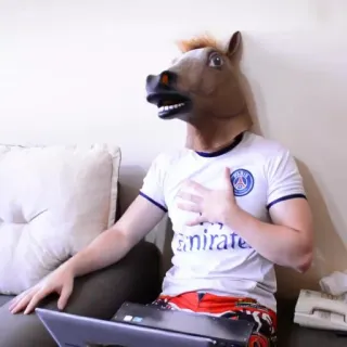 👻 39fc5a1a cheval, masque, masque cheval, homme, canapé whatsapp sticker