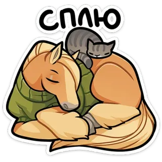 😴 c38923f6 СПЛЮ cheval, chat, sommeil, dormir, animal, mignon whatsapp sticker