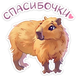 😌 e3892415 спасибочки 水豚, 动物, 可爱, 啮齿动物, 俄语, 贴纸, 谢谢, 谢谢 telegram sticker