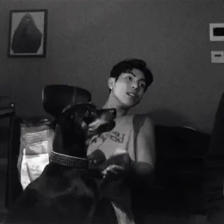 💫 7036dc7e chó, người đàn ông, trong nhà, chân dung telegram sticker