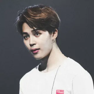 🔖 33d65982 Jimin LOVE YOURSELF K-pop, BTS, Jimin, Love Yourself telegram sticker