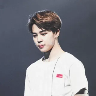 🔖 59d0f6c0 Jimin Love Yourself kpop, música, cantor, pessoa, celebridade, entretenimento, jimin, bts telegram sticker