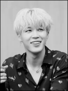 ◾️ d0145e44 Jimin Jimin, BTS, K-pop, Chanteur, Idole, Artiste, Noir et blanc telegram sticker