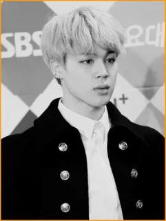◾️ d5d4e89e Jimin Jimin, BTS, K-pop, Chanteur coréen, Idole telegram sticker