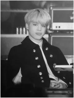 ◾️ ecf0ee26 Jimin kpop, Idole, Chanteur, Jimin, BTS telegram sticker
