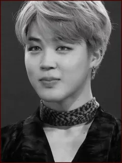 ⚜ fafc0318 Jimin Jimin, BTS, Kpop, chanteur, idole telegram sticker