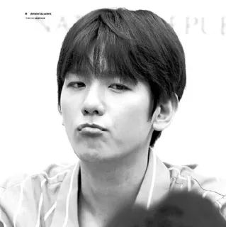 🕊 0b7a6795 whatsapp sticker