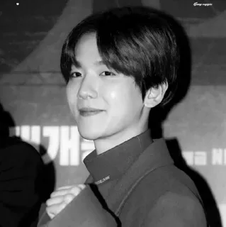 🕊 1aa00dc6 whatsapp sticker