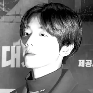 🕊 31fb3313 FLORENCE SULLIVAN zwart-wit, portret, persoon, man, beroemdheid, mode whatsapp sticker