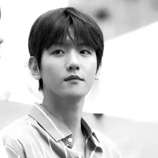 🕊 4d73792a portret, koreaans, beroemdheid, zanger, acteur whatsapp sticker