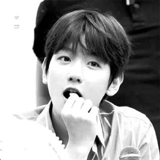 🕊 54eaddb1 whatsapp sticker