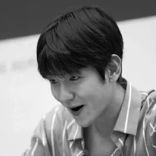 🕊 70259e24 whatsapp sticker