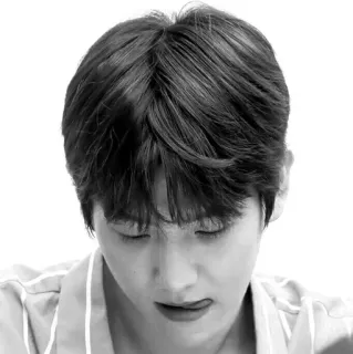 🕊 88ba1c56 whatsapp sticker