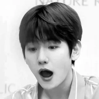 🕊 9e301315 whatsapp sticker