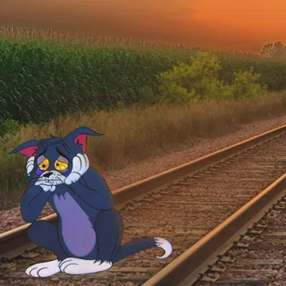 ☹️ 5d5f5a1d Tom Cat Tom and Jerry 고양이, 슬픈, 철로, 만화, 멜랑꼴리, 철도, 일몰 whatsapp sticker