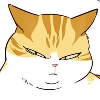 🐈 0570e10d 猫, 动物, 可爱, 宠物, 贴纸 telegram sticker