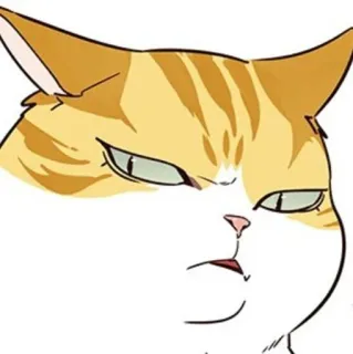 🐈 1326e8b2 猫, 表情包, 动物, 搞笑, 宠物, 小猫, 可爱 telegram sticker