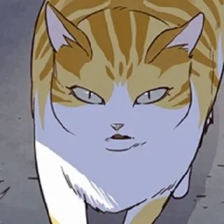 🐈 14baec03 猫, 动物, 宠物, 家猫, 猫科动物, 橘猫 telegram sticker