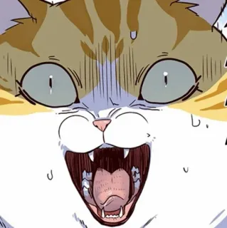 🐈 25598f7b 猫, 动物, 表情包, 搞笑, 卡通, 震惊, 惊讶 telegram sticker