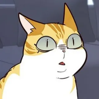 🐈 2cc2fb3e 猫, 搞笑, 梗, 动物, 震惊, 惊讶, 橙色, 虎斑 telegram sticker