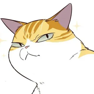 🐈 31d0bc60 猫, 橙色, 白色, 生气, 可爱, 宠物, 动物 telegram sticker