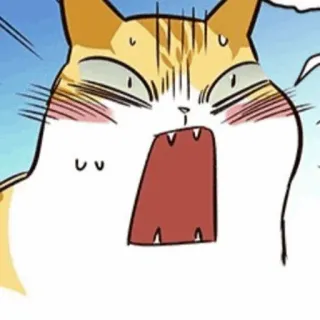 🐈 3e766e88 猫, 表情包, 搞笑, 震惊, 惊讶, 动物 telegram sticker
