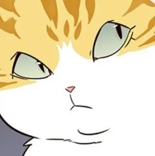 🐈 45b61549 猫, 梗, 搞笑, 动物, 宠物, 卡通, 可爱, 家畜 telegram sticker