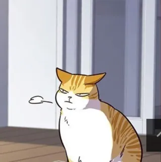 🐈 5032bce5 猫, 生气, 宠物, 动物, 可爱, 搞笑, 表情包 telegram sticker