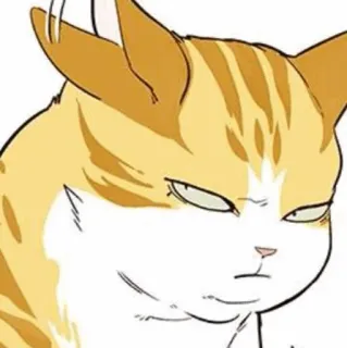 🐈 5059e4be 猫, 动物, 宠物, 猫科动物, 可爱, 贴纸, 表情包 telegram sticker