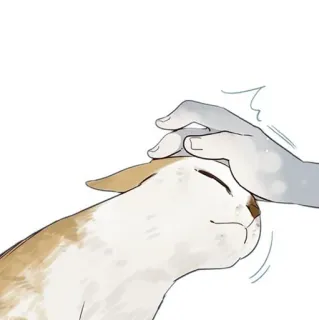 🐈 5281b642 猫, 宠物, 手, 动物, 家养, 喜爱, 可爱 telegram sticker