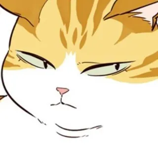 🐈 67c98e6b 猫, 动物, 可爱, 贴纸, 卡通, 橙色, 宠物 telegram sticker