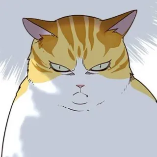 🐈 6aaafc44 猫, 动物, 脾气暴躁, 猫科动物, 宠物 telegram sticker
