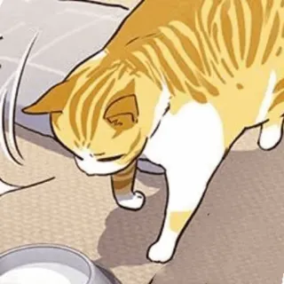 🐈 6aac1a99 猫, 动物, 宠物, 家养动物, 猫科动物 telegram sticker