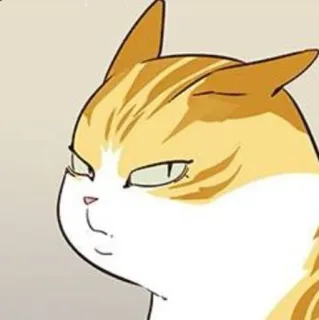 🐈 7ed8c74c 猫, 动物, 橙色, 宠物, 猫科动物, 表情包 telegram sticker