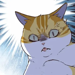 🐈 887dbd52 猫, 动物, 贴纸, 卡通, 表情, 震惊 telegram sticker