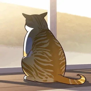 🐈 ad433a33 猫, 动物, 家畜, 宠物, 窗户, 看着, 虎斑猫 telegram sticker