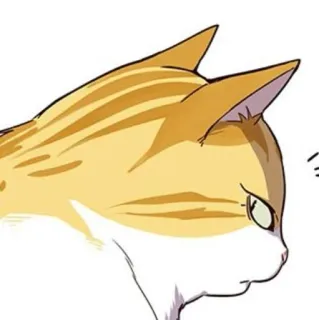 🐈 b3e923d5 猫, 动物, 宠物, 可爱, 家养, 猫科 telegram sticker
