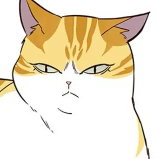 🐈 b6b5b7cb 猫, 动物, 卡通, 表情包, 搞笑, 宠物, 表情 telegram sticker
