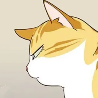 🐈 bd44556c 猫, 动物, 橘色虎斑猫, 宠物, 猫科动物, 卡通 telegram sticker