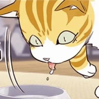 🐈 c2aa5c1f 猫, 喝水, 动物, 家猫, 可爱, 宠物, 橘猫 telegram sticker