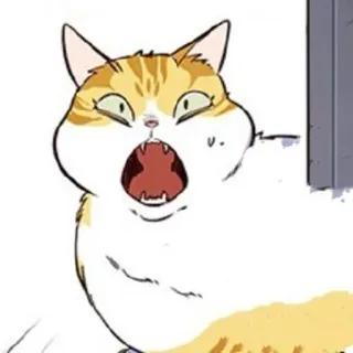 🐈 c5eff80f 猫, 动物, 表情包, 搞笑, 表情, 惊讶, 震惊, 卡通 telegram sticker