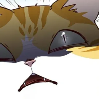 🐈 dad3cea4 猫, 动物, 贴纸, 卡通, 表情包 telegram sticker