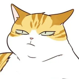 🐈 e7785204 猫, 动物, 卡通, 生气, 梗 telegram sticker