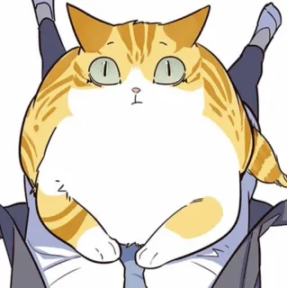 🐈 f403e9ed 猫, 橘猫, 可爱, 动物, 宠物, 家猫 telegram sticker